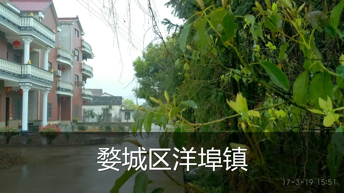 婺城区洋埠镇